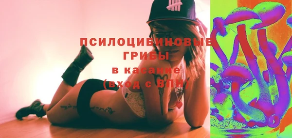 МДПВ Вяземский