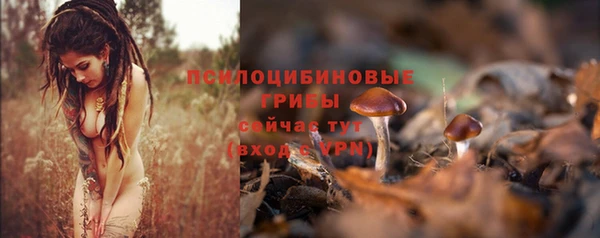 МДПВ Вяземский