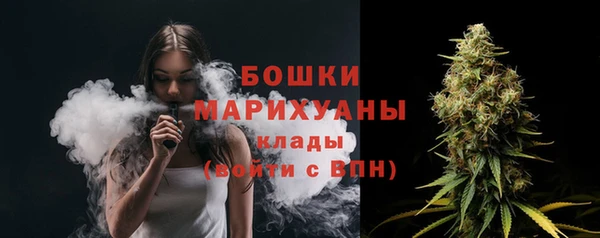 МДПВ Вяземский
