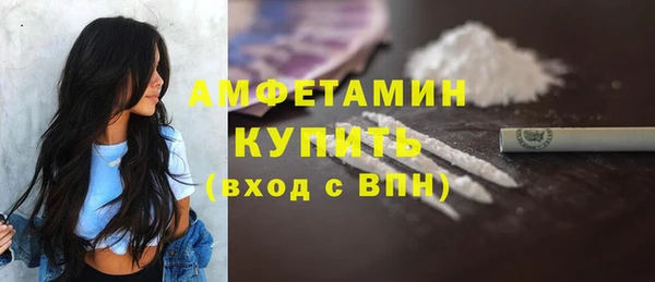 МДПВ Вяземский