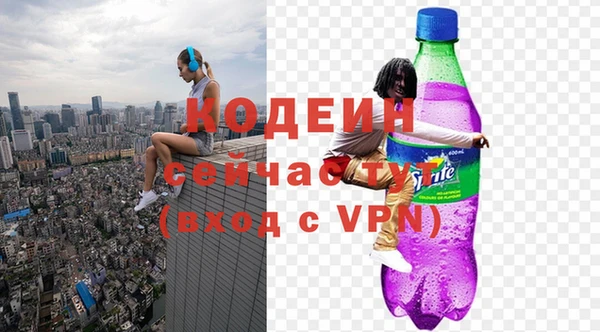 МДПВ Вяземский