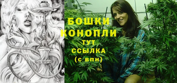 МДПВ Вяземский