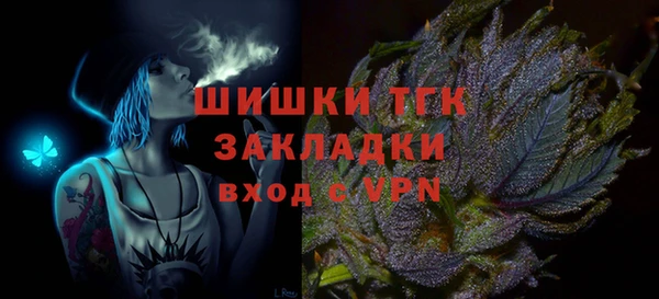 МДПВ Вяземский